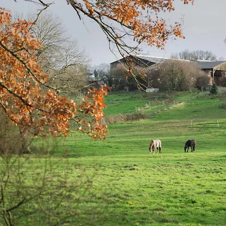 بيت للعطل Chez So'spa Loiron-Ruille